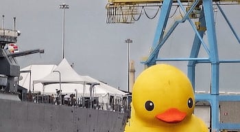 This giant rubber duck was supposed to be the star of the Tall Ships Festivall but, alas, didn't cooperate.
