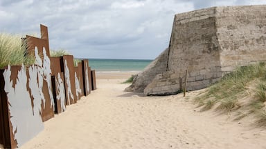 A #beach seems like a fun place to go in early June, until you add 50 lb of gear, a weapon and machine-gun fire spraying out of fortified #bunkers. And that was just the start of the hardships faced by the Canadian troops that came ashore at Courseulles-sur-Mer, #France 🇫🇷 in 1944!
#LifeAtExpedia