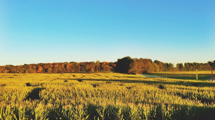 Temple Hall Farm Regional Park