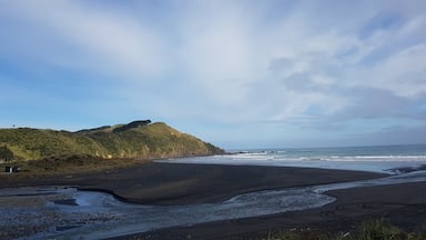 The Fossil beach west coast New Zealand