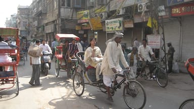 The bustling streets of the old market of New Delhi are a heady mixture of noise and smells. There are a lot of tourists in the rickshaws and yet it retains its authenticity as a market area. #markets