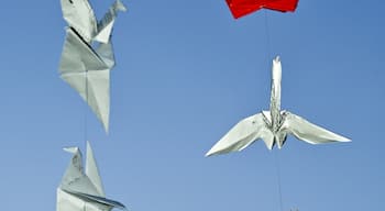 One thousand origami cranes folded by students at Huazhong Agricultural University in Wuhan, China.