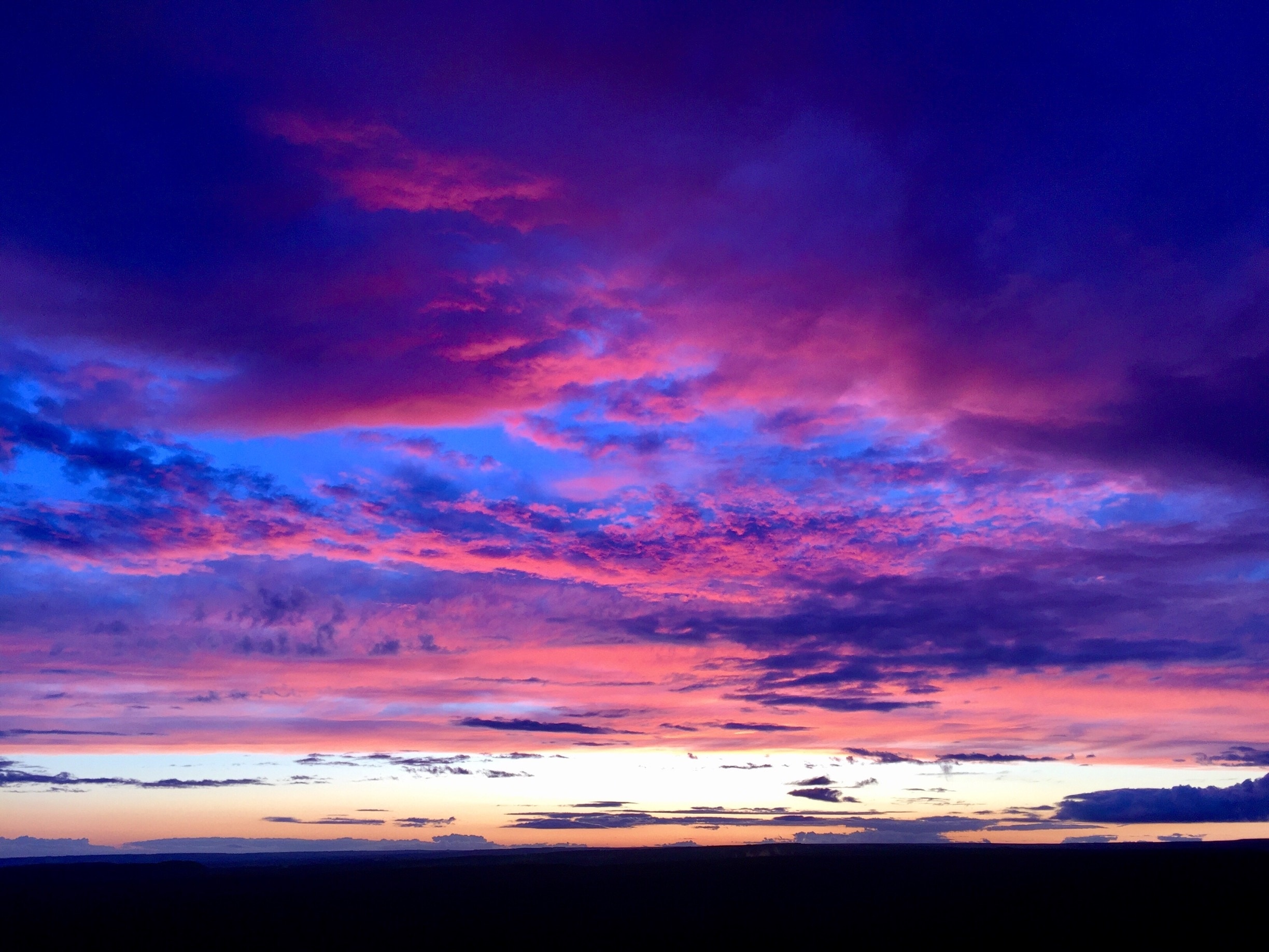 Photo by Rebecca Dibb