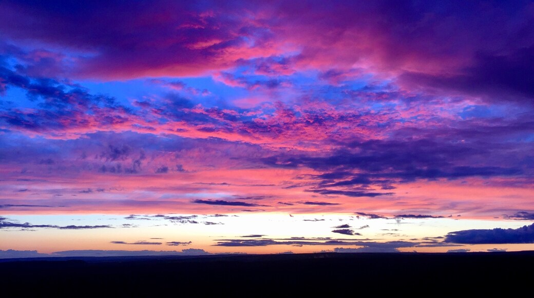 Foto por Rebecca Dibb