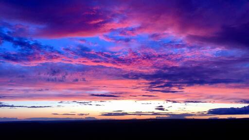 Foto tomada por Rebecca Dibb