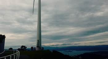 #Brooklyn Wind Turbine in Wellington. The view at the to is amazing😊😍