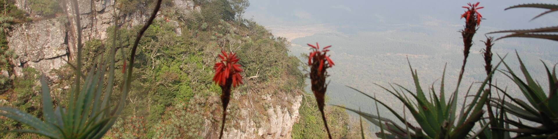Graskop, Mpumalanga, Sudáfrica