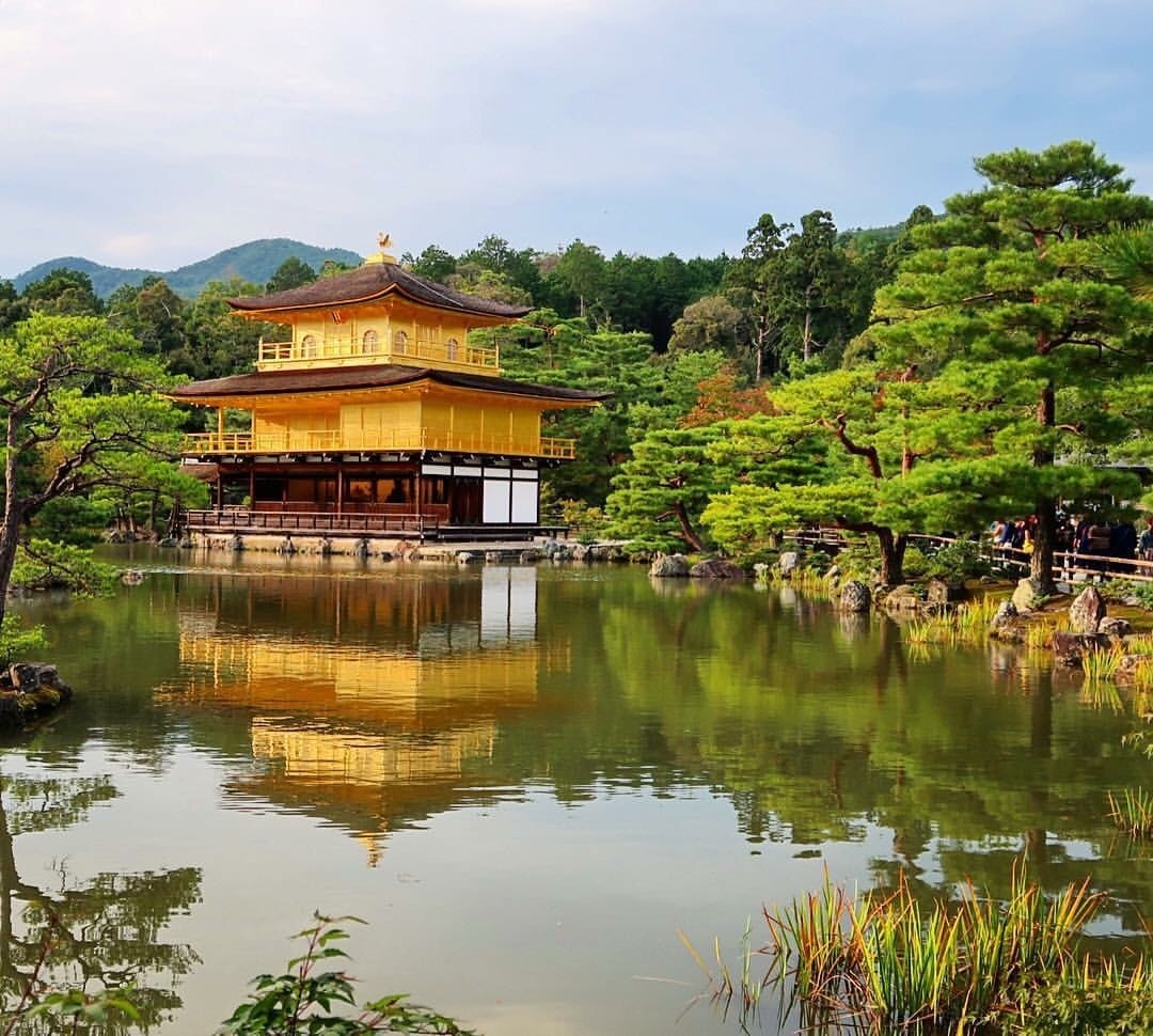 【高価値】 - (北区) 金閣寺 ツアーとアクティビティ エクスペディア | サポーター
