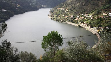 A view over Douro river.
Portugal