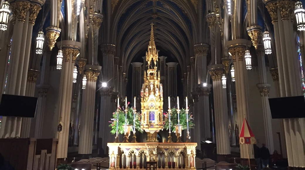 Basilica of the Sacred Heart (Kutsal Kalp Kilisesi), Notre Dame, Indiana, Birleşik Devletler