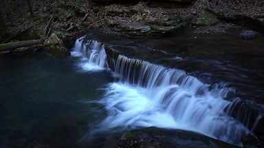 Very peaceful and smooth flowing hike on the Cumberland Trail- Piney River Segment. Many small waterfalls and swimming holes along the way.