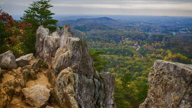 Crowders Mountain State Park has a wealth of great trails which end with great views of North Carolina piedmont. The two main destinations are Crowders Mountain (2.8 mile walk from Sparrow Springs Access) or the Pinnacle or King's Pinnacle. The Pinnacle trail is a pleasant 2 miles trek uphill through rich forest. The last little bit has some rock scrambling with signs that urge carefulness. But the views are stupendous, especially with fall colors in full display. (About 45 minutes west of Charlotte, NC)