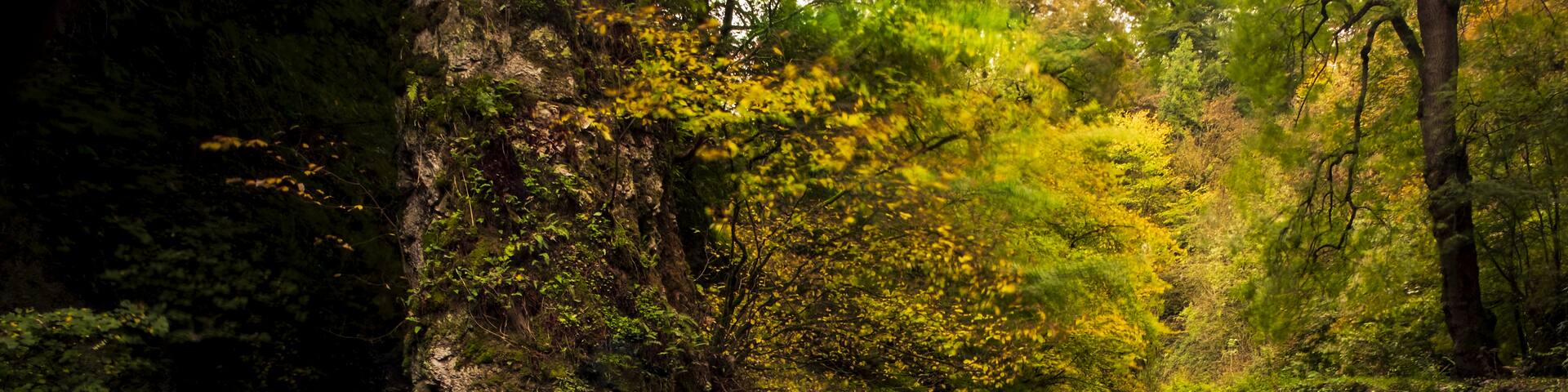 Beresford Dale and the river Dove, just minutes from Hartington in the Peak District.