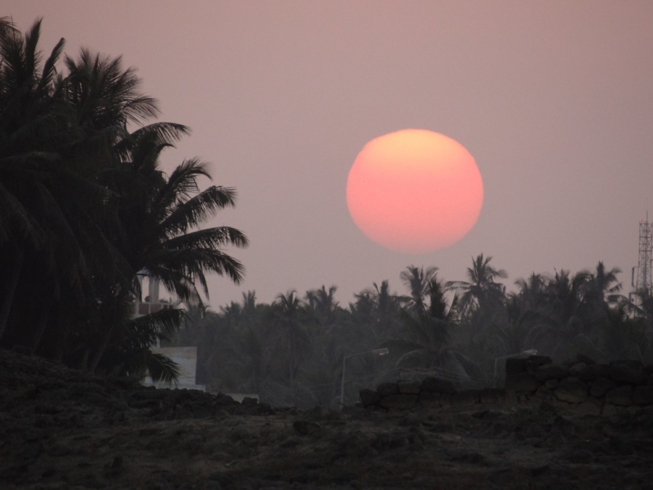Amazing ruins from the old citadel of port of Salalah, you walk in the site, or ride a golf cart, you can also boat in groups, this is a sunset on the palms, authentic and natural. The museum has a lot of makets, potteries and shipping history memories & antics