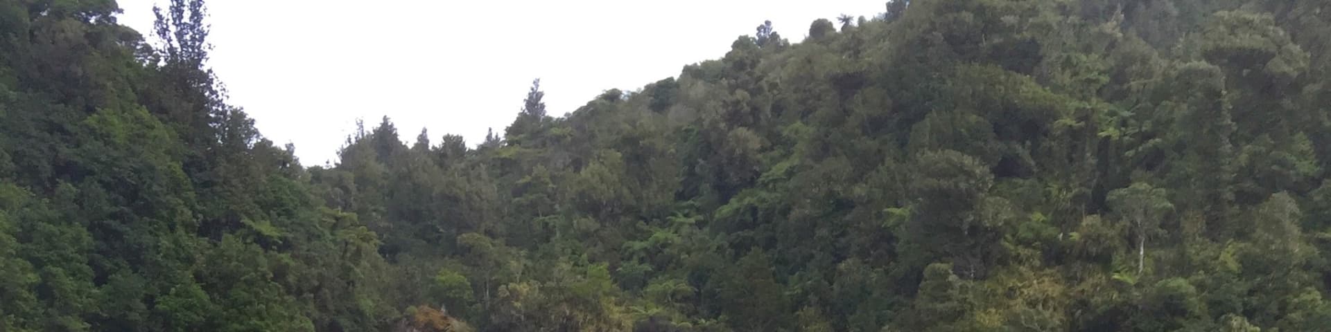 About a half hour drive outside of Waitomo, is this beautiful waterfall. It's about a 10min walk from where you park, so pretty easy. If you love waterfalls like I do, it was a no brainer to check it out. I didn't stay long though as it started to rain.