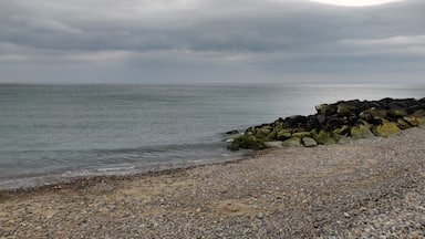 Take a break from the bustling city of Dublin, to spend a "nothing shall be done today" kinda day! It has some great pics, waffle bars, coffee places by the beach side. Isn't that a perfect holdiay ? #lifeatexpedia