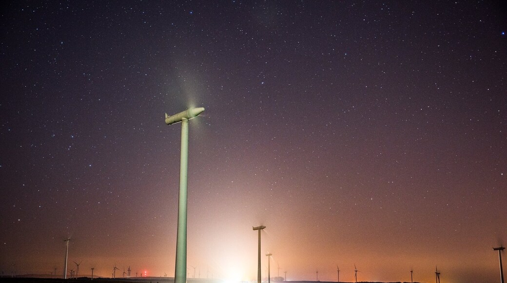 Foto por David Shearer