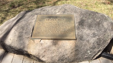 The town of Capitan holds dear the memory of the original Smokey Bear.  The cub was rescued after a devastating fire in 1950 in the Lincoln National Forest, leaving him orphaned. Fire rangers made him an American mascot for preventing forest fires. Smokey was buried here after a successful 25-year career as a spokesman. 