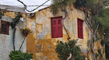 The architecture  next to the acropolis is insane. Built on the side of the hill, it's a fun lil exercise to see them. It is said these houses are reminiscent of those in the islands because islanders who migrated missed their old homes so much. Either way, if you don't have time to visit the islands, you can get a small taste here! #architecture #athens #greece #citystreets