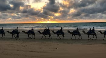 Classic sunset at Cable Beach, Broome