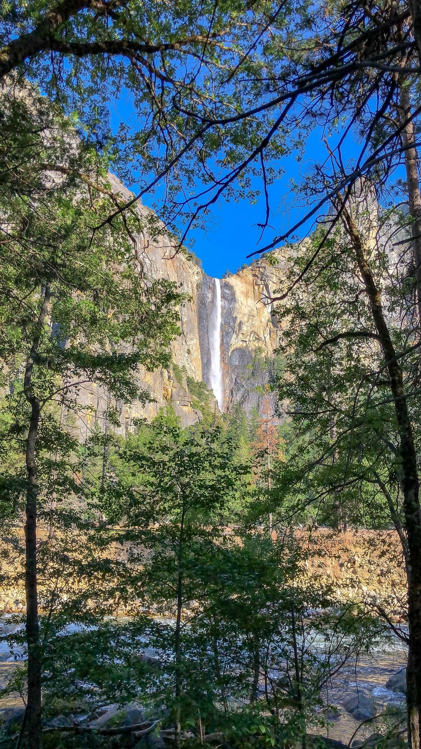 Bridalveil Fall  Discover Yosemite National Park