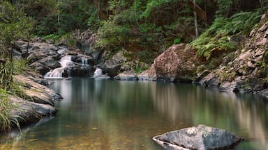 In Queensland’s Sunshine Coast Hinterland, you will find, if you like a good 4x4 drive, Booloumba Cascades and Falls.  With crystal waters and wonderful walks, you can even take a swim here.  Part of Conondale National Park, certainly worth a night or two camping in the dedicated camping areas. #nationalparks #nature #queensland #roadtrip #daytrip #4x4 #troverrt