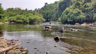 An eco tourism destination at Kuttiady , Maruthonkara . A place to relax , enjoy with Nature.... Forest , River Streams...