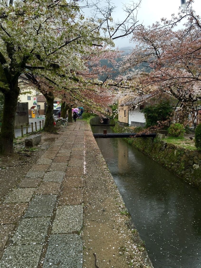 Passeggiata Del Filosofo A Distretto Di Sakyo Expedia