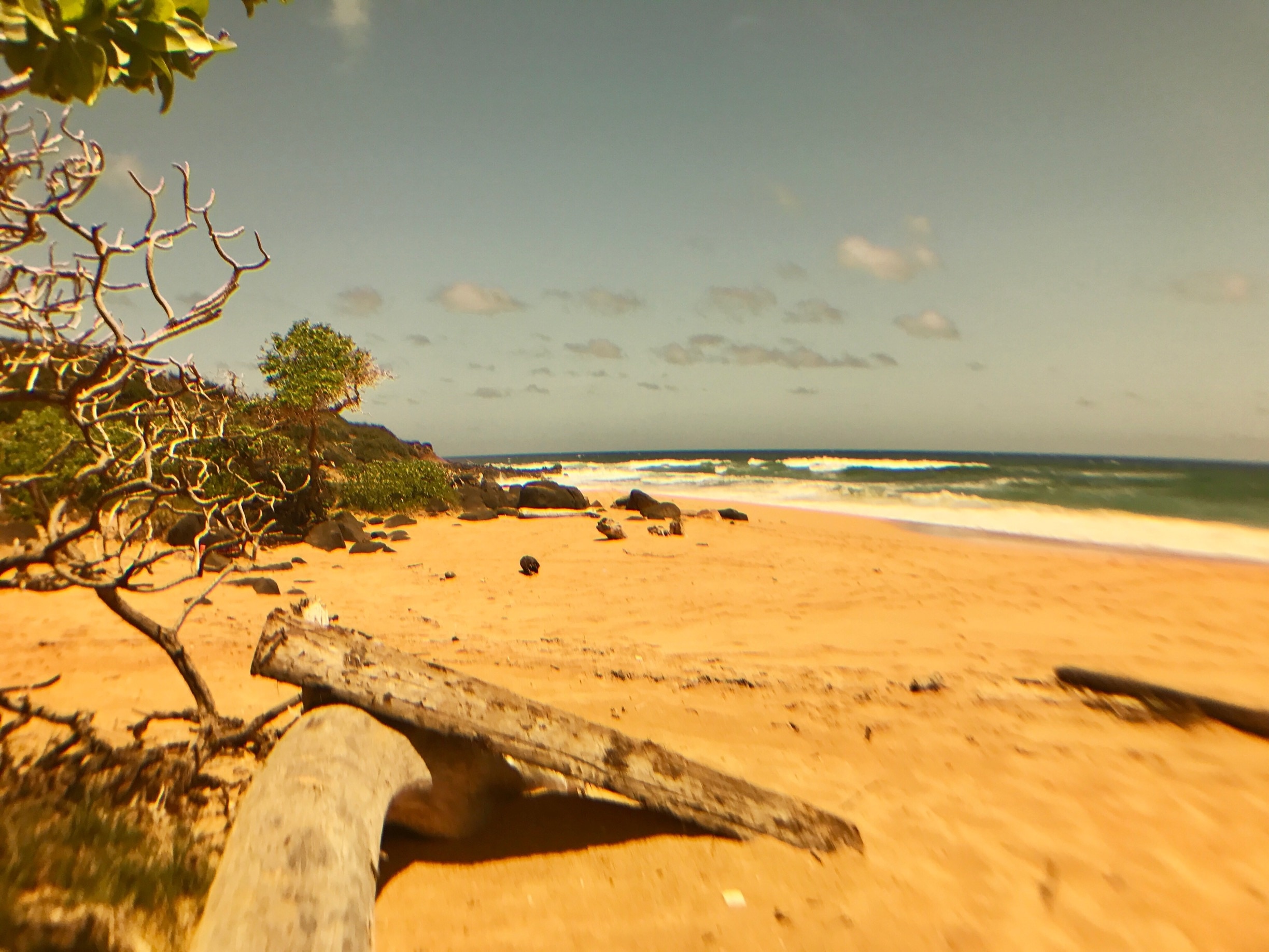A lovely almost deserted beach north of Kapa'a Kauai
Once famous for nude sun bathing!