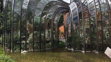 Beautiful botanical green houses full of things to make delicious gin!! #gin #bombaysapphire #greenhouse
