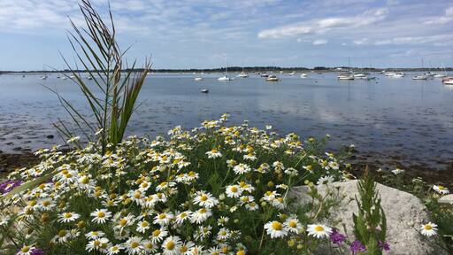 Foto von Marie O'Sullivan