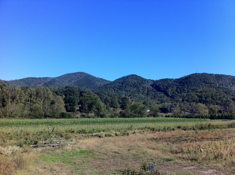 Best place to get fresh, locally grown, vegetables in the North Georgia Mountains.
