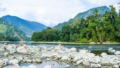 The beauty of Himalayan terrain. unapologetic, unabashed. River Jia Bharali, Bhalukpong, Arunachal Pradesh. https://youtu.be/PdiEb_omYUw
