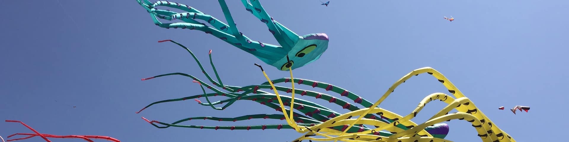 A gorgeous display of octopus kites during the kite festival.