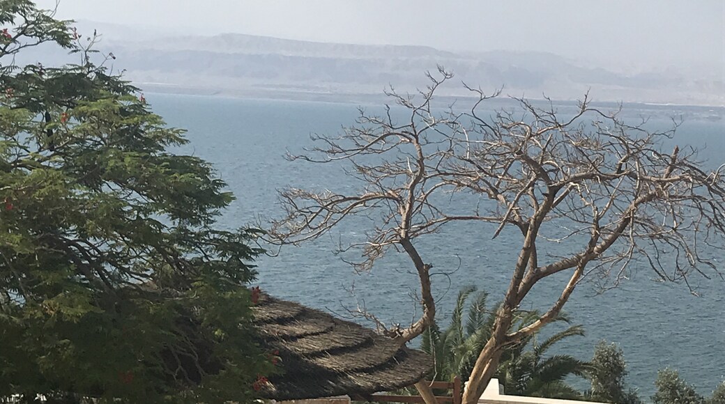 Photo by Uschi Hayajneh