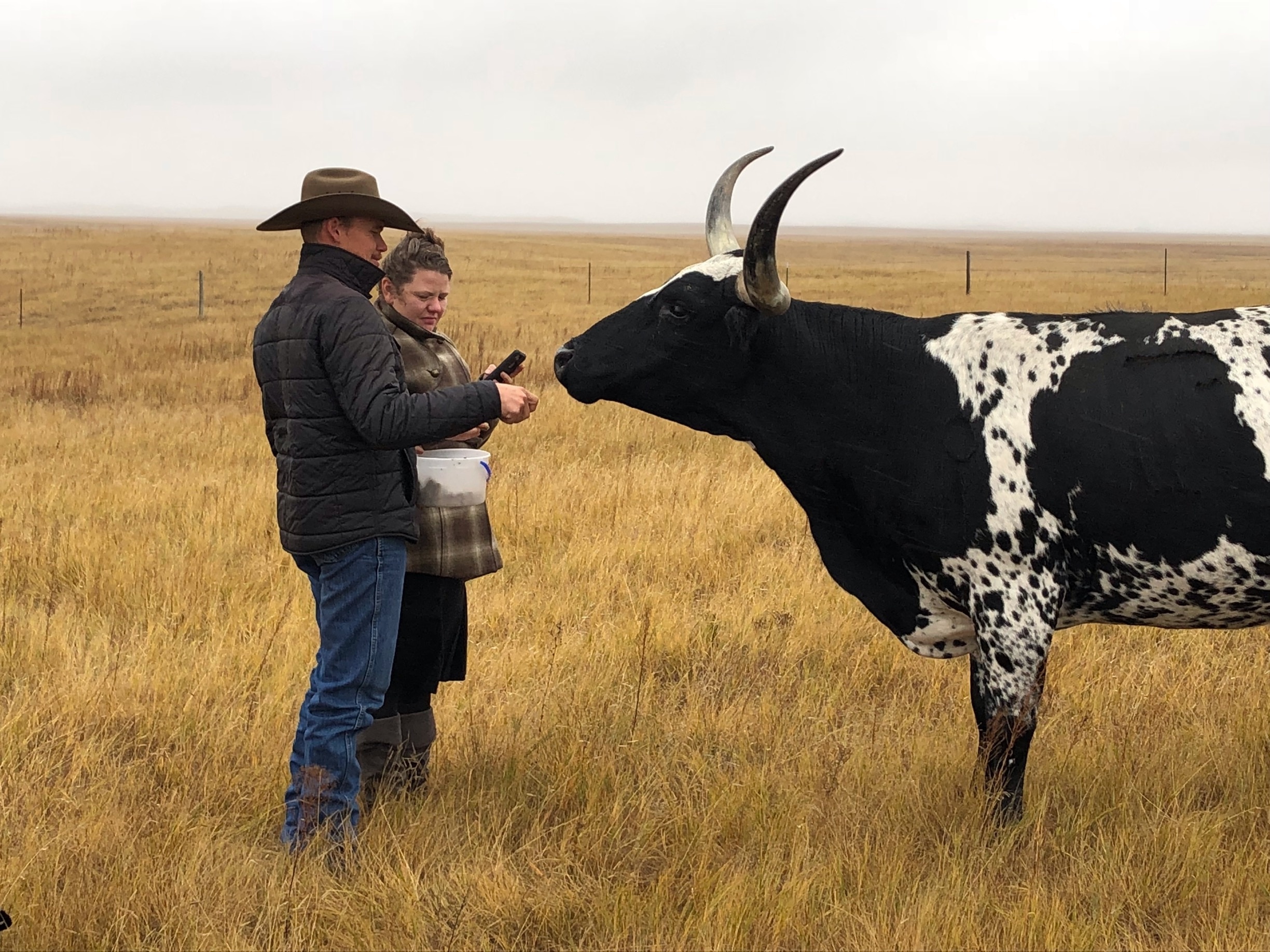 Alliance, NE Vacation Rentals & more Vrbo