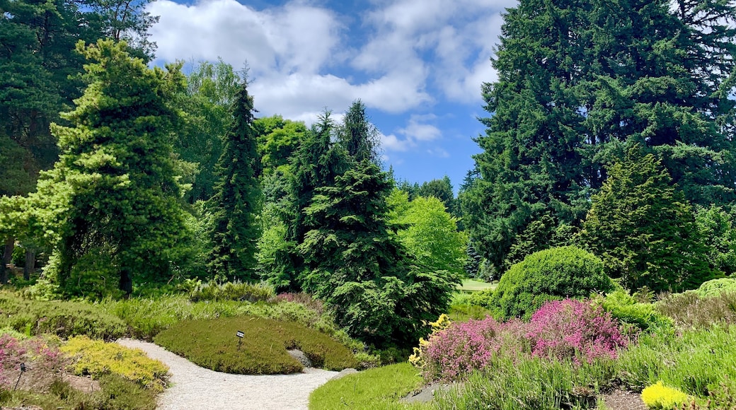 VanDusen Botanical Garden, Vancouver, British Columbia, Canada
