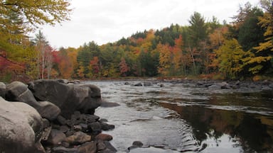 Fall colours, fresh air and water view.