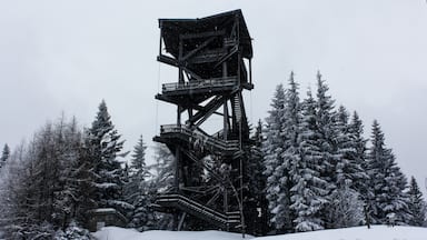 The watchtower standing tall in the snow as people around get ready to ski.

#snow #mountain #nature #tower #trees #europe #austria #semmering #ski #landscape
