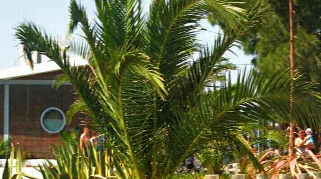 Foto von Carla Martins