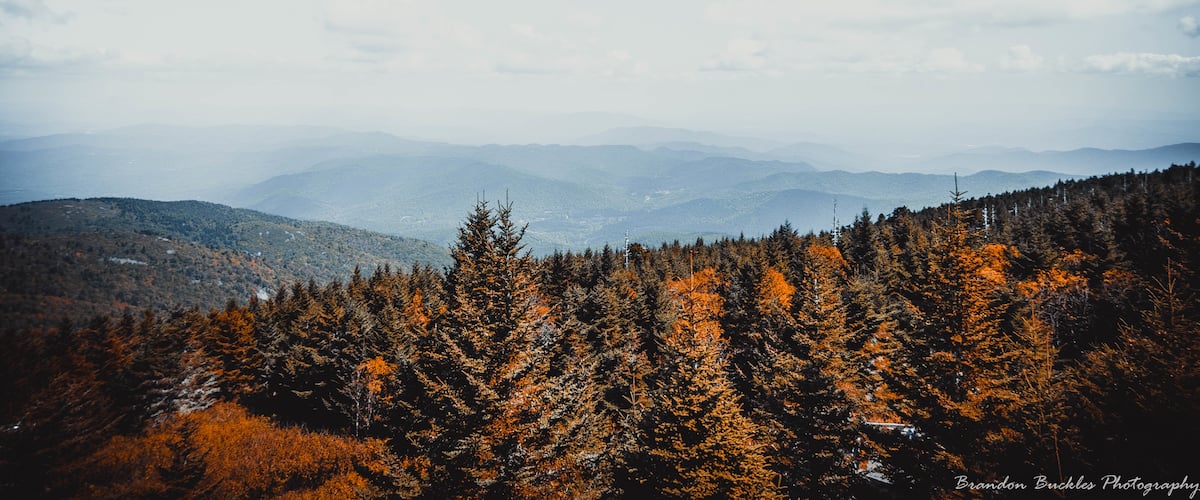 Shot from the summit if Mount Mitchell overlook. Fall on the Blue Ridge Parkway Old Fort, NC
#MyBackyard
#mountmitchell
#oldfort
#northcarolina
#blueridgeparkway
#blueridgemountains
#fall
#autumn