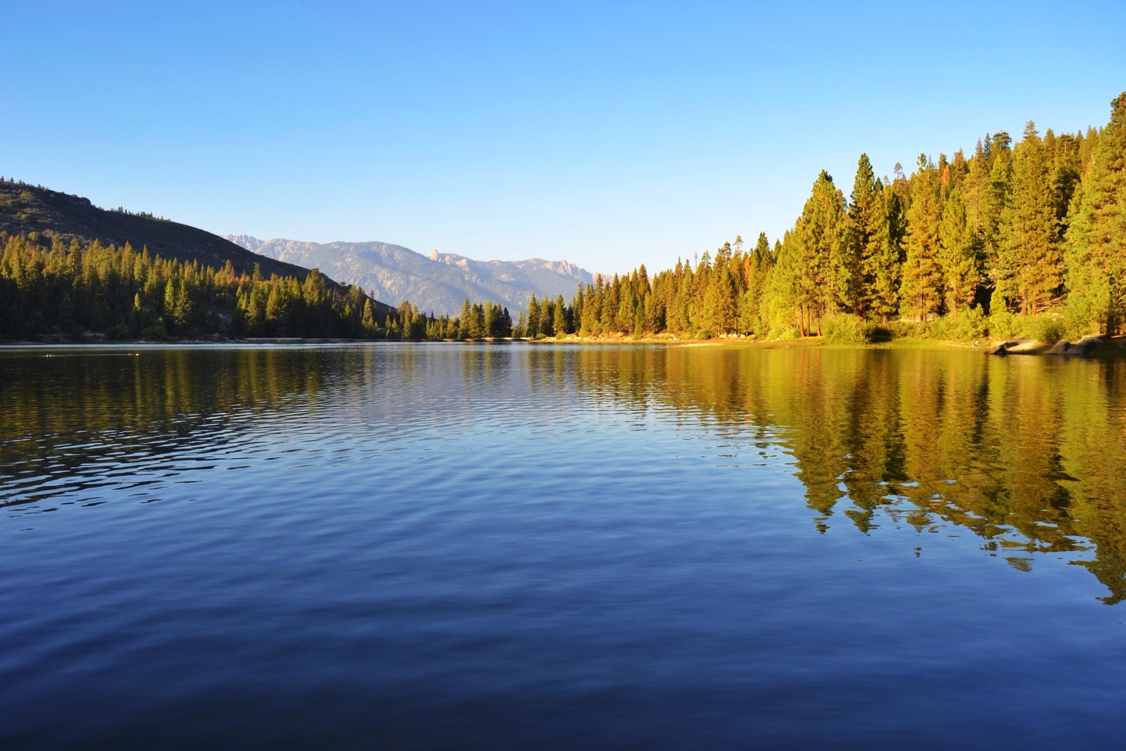 This is Hume Lake, in Kings Canyon National Park. It's a great spot for a picnic or a hike. There is a camp for children near the lake, so some small areas are shut to the public. #GoldenHour