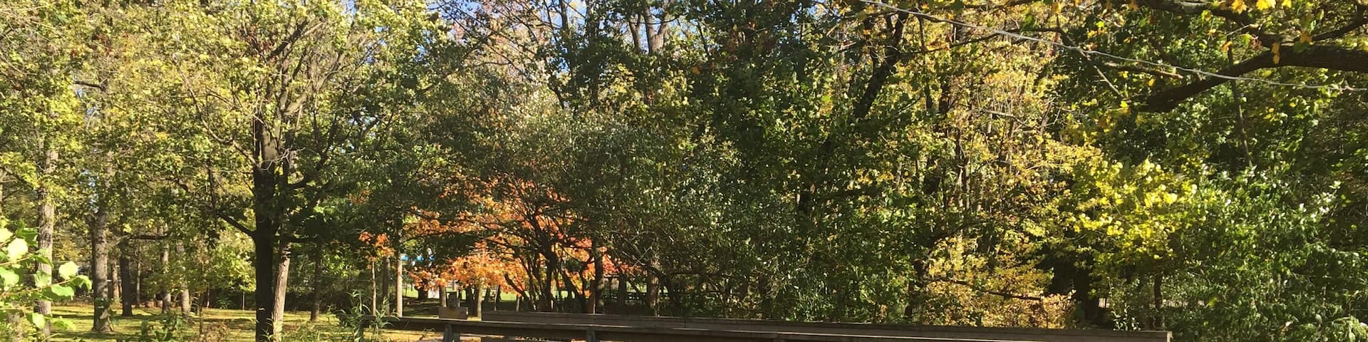 After a day of rain