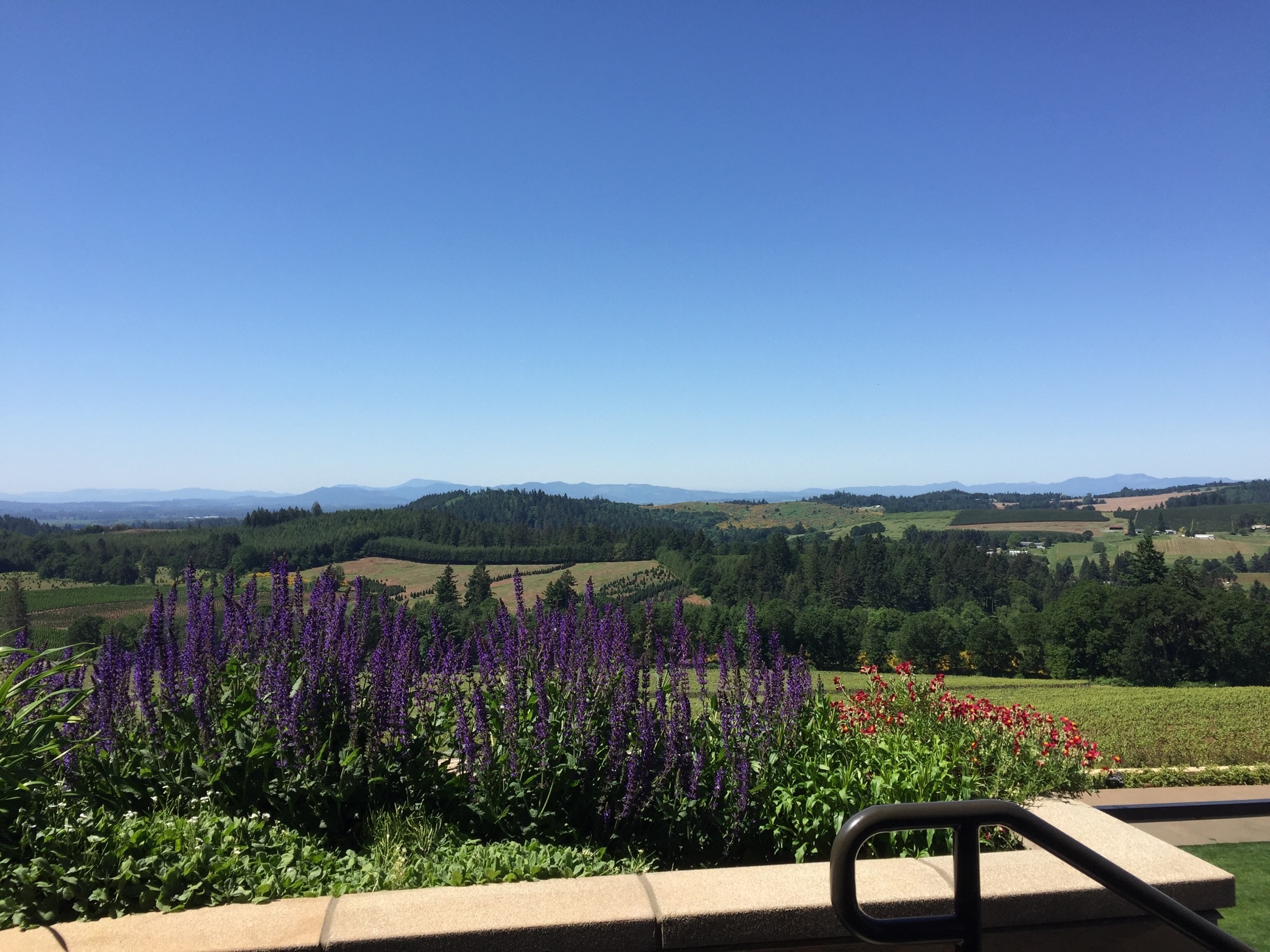 Willamette Valley Vineyards, Salem, Oregon, United States of America