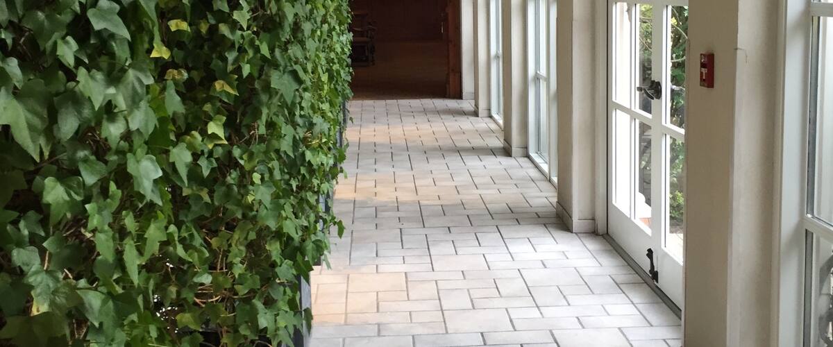 Beautiful walkway, O Henry hotel