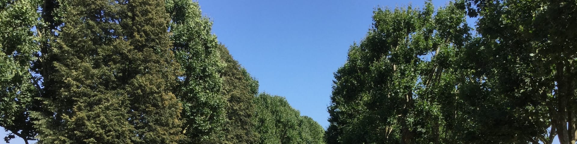 Zweibrückens Avenue. A wonderful jogging track nearby the rose garden....