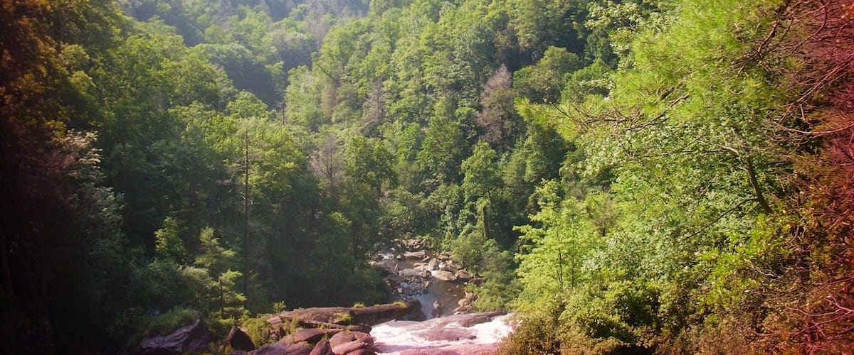 We took a hiking trip through Nantahala and did kayaking at the Nantahala Outdoor Center.