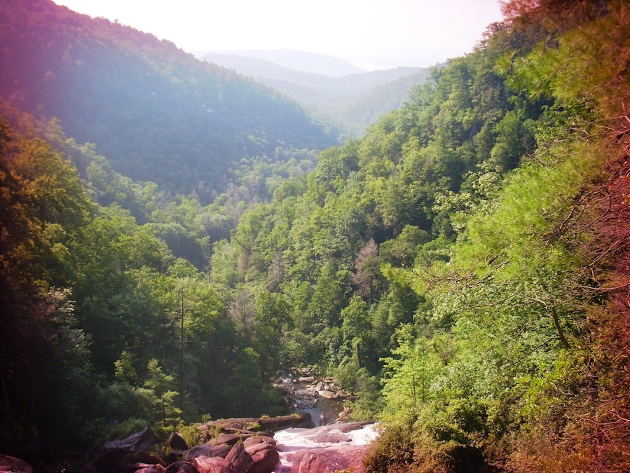 We took a hiking trip through Nantahala and did kayaking at the Nantahala Outdoor Center.