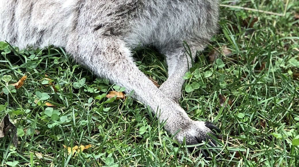 Foto von Angie Bell