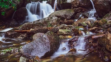 Glen Onoko is one of the trickiest trails in Poconos, PA. If not followed signs, it is very easy to get lost. But it is all worth. All thru trail, beautiful waterfalls refresh us. Poconos never fail to amuse us. #GreatOutdoors #Troveon #Waterfalls #Poconos #pennsylvania